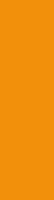 School Bus Yellow