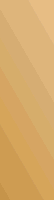 Metallic Gold